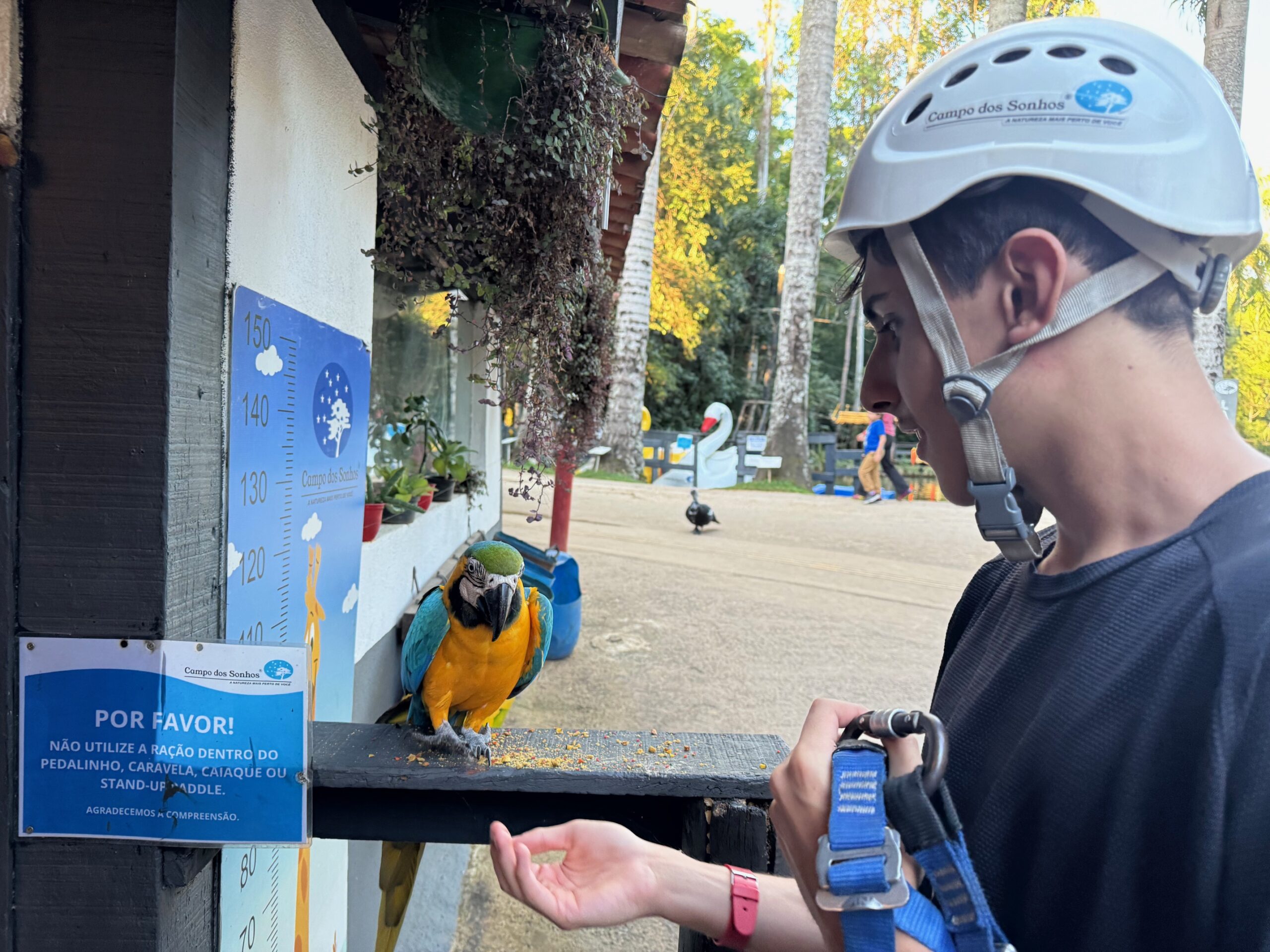Réseau des Rêves : le tourisme inclusif à Socorro