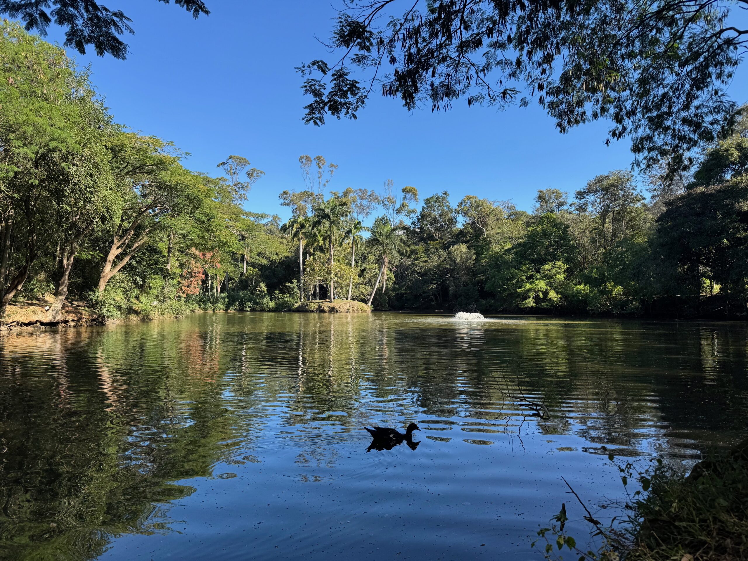 Réseau des Rêves : le tourisme inclusif à Socorro
